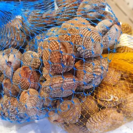 Here Comes The Sun Appartement *