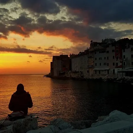 Here Comes The Sun Appartement