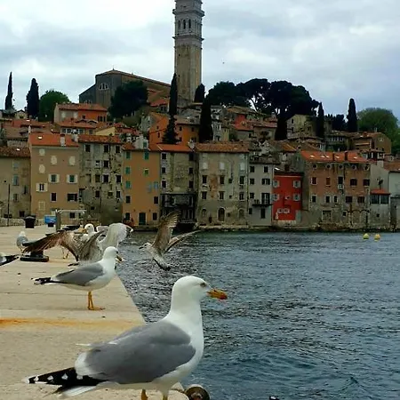 Here Comes The Sun *