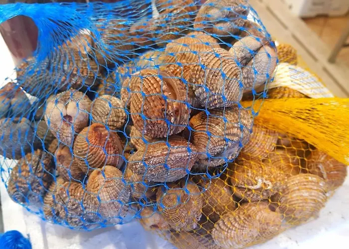 Here Comes The Sun Διαμέρισμα *