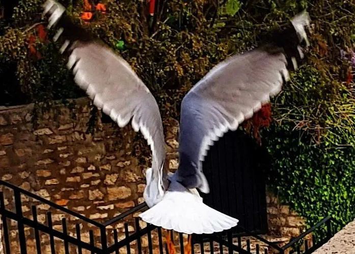 Here Comes The Sun Διαμέρισμα Ρόβινι