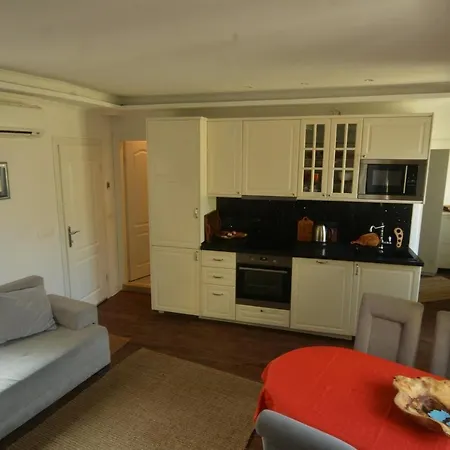 Here Comes The Sun Rovigno