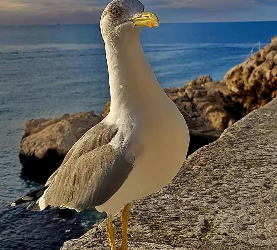 Appartamento Here Comes The Sun *