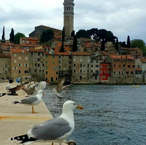 Here Comes The Sun *